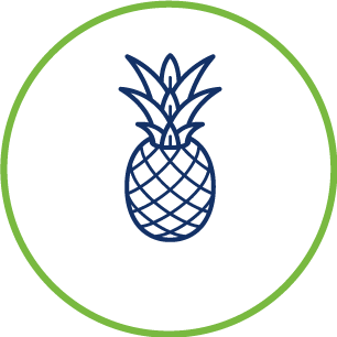 pineapple icon