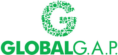 globalgapicono